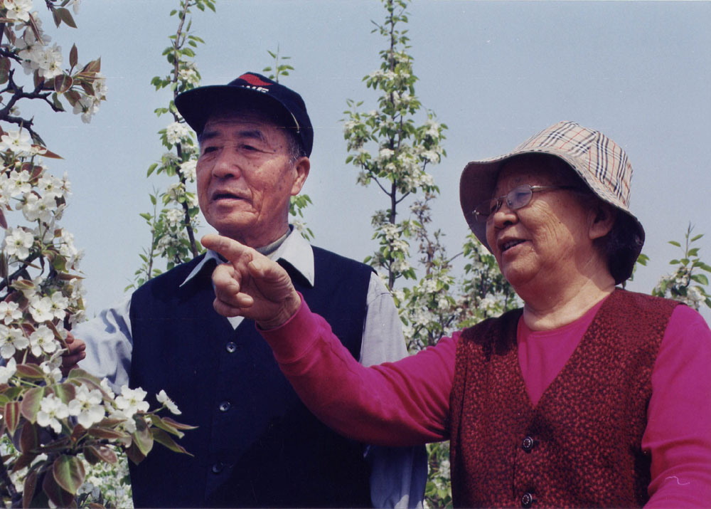 老两口看花 摄影 初学影人