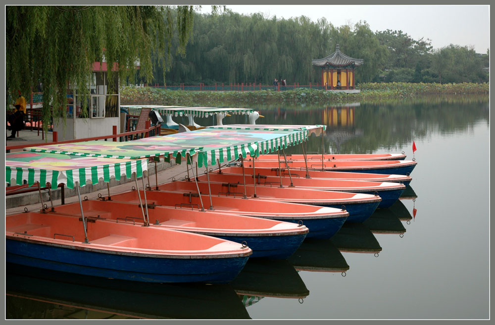 香河第一城   一景 摄影 fhy41