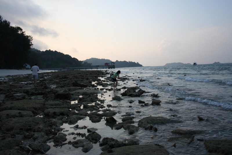 踏海 摄影 思念藏匿