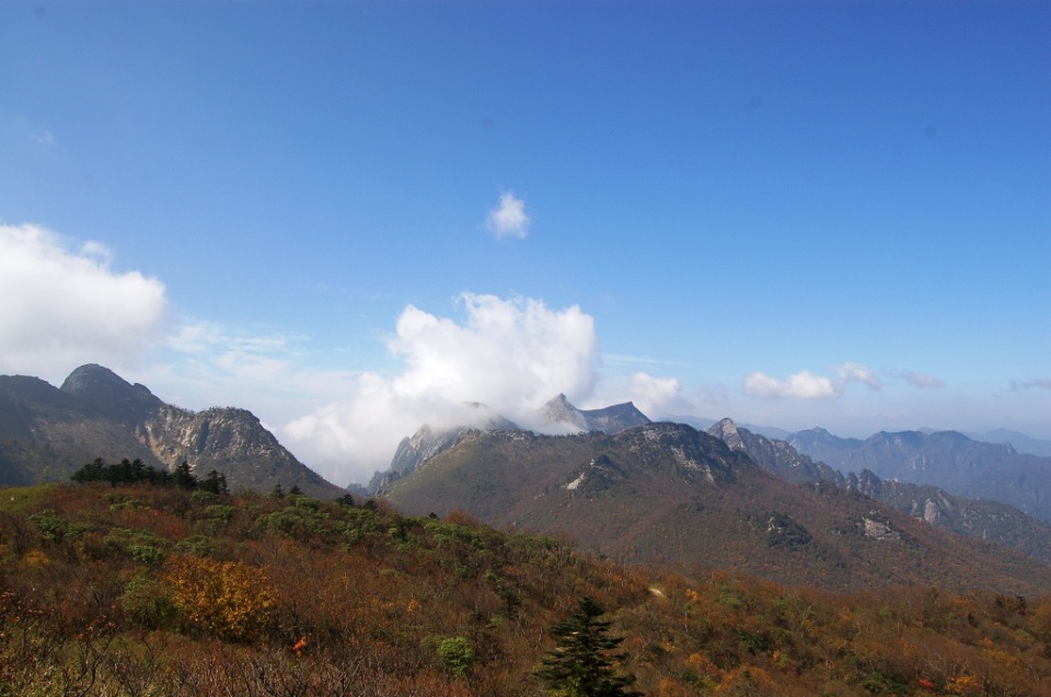 秦岭风光六 摄影 诱人花香