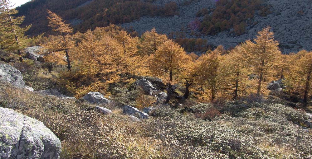 秦岭秋韵 摄影 蓝色大气层