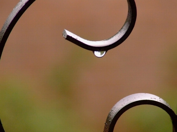 深秋的雨 摄影 dnha