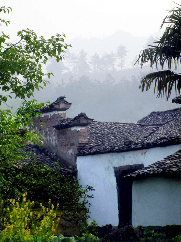 老屋 摄影 林雨