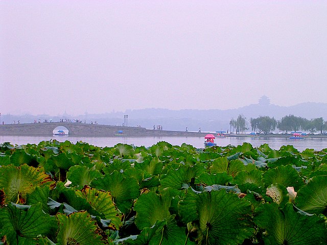 远山近影之西湖 摄影 彼岸的风景