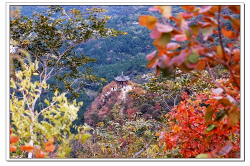 香山 摄影 胖胖牛哥