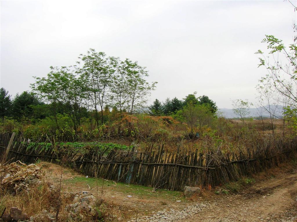 秋到山村 摄影 牛老