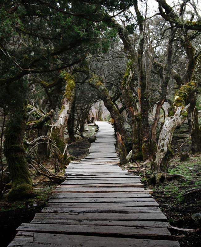 路 摄影 蓝色大气层