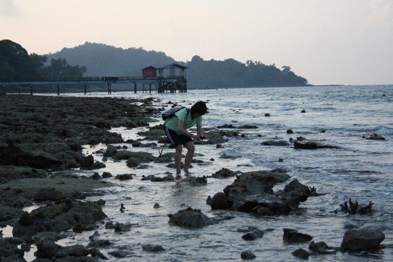 踏海 三 摄影 思念藏匿