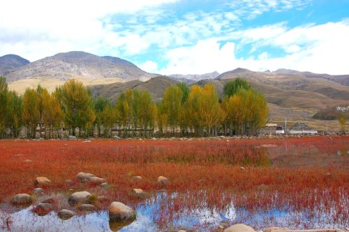 稻城小景 摄影 月常明