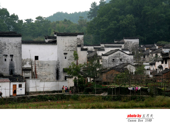 家园 摄影 五月天