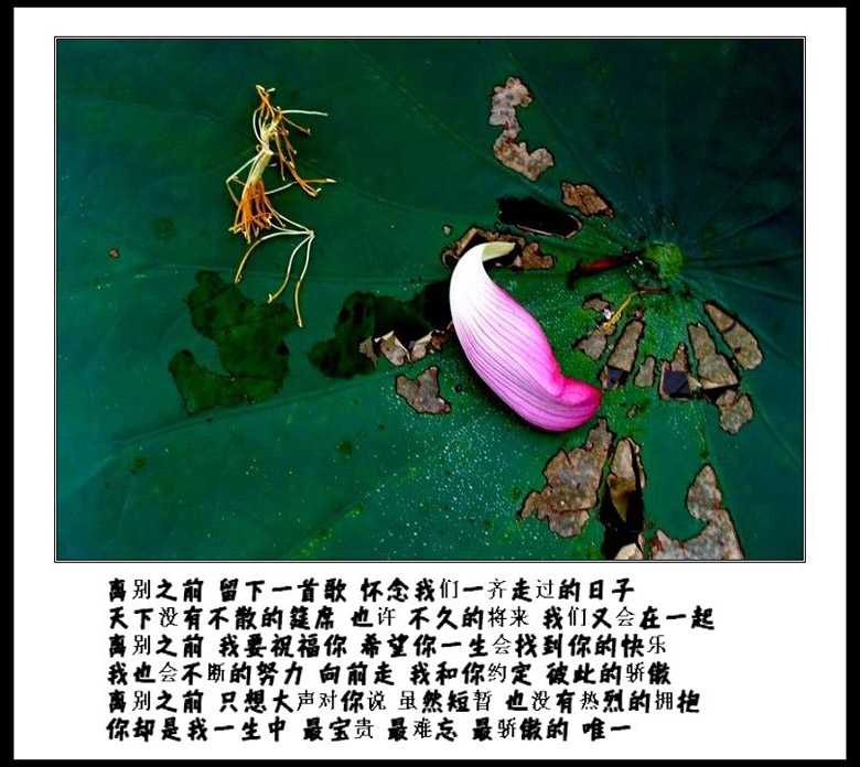 离别之前 摄影 菲子拾趣