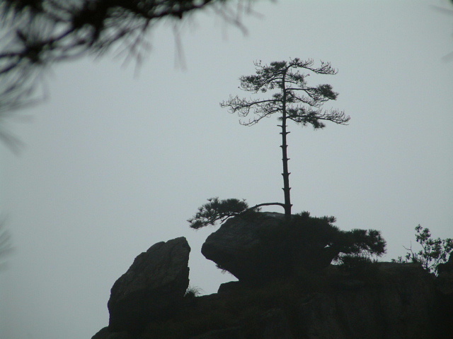 芦山 摄影 压边