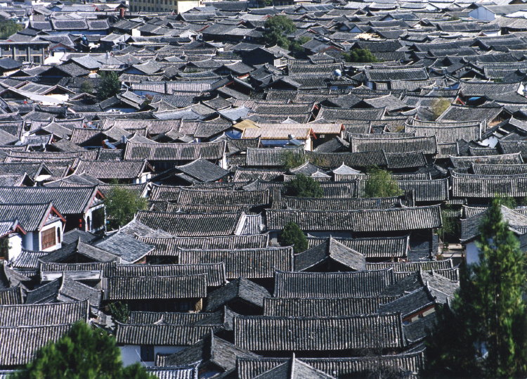 丽江古城 摄影 雪野