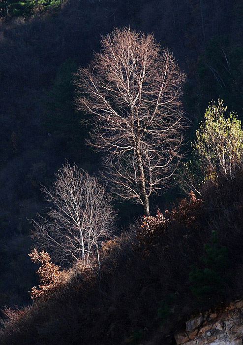 《白石山风光》 摄影 小巍