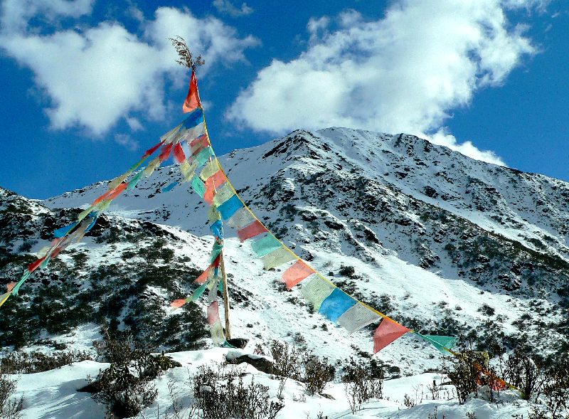 雪山情 摄影 高山过客