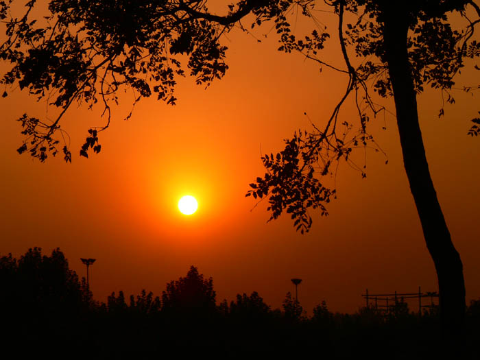 夕阳红 摄影 心香无语