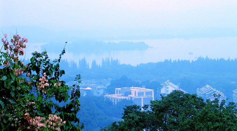 朦胧 美西湖 摄影 彼岸的风景