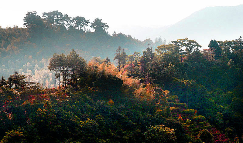 《深秋时节》 摄影 山.丘