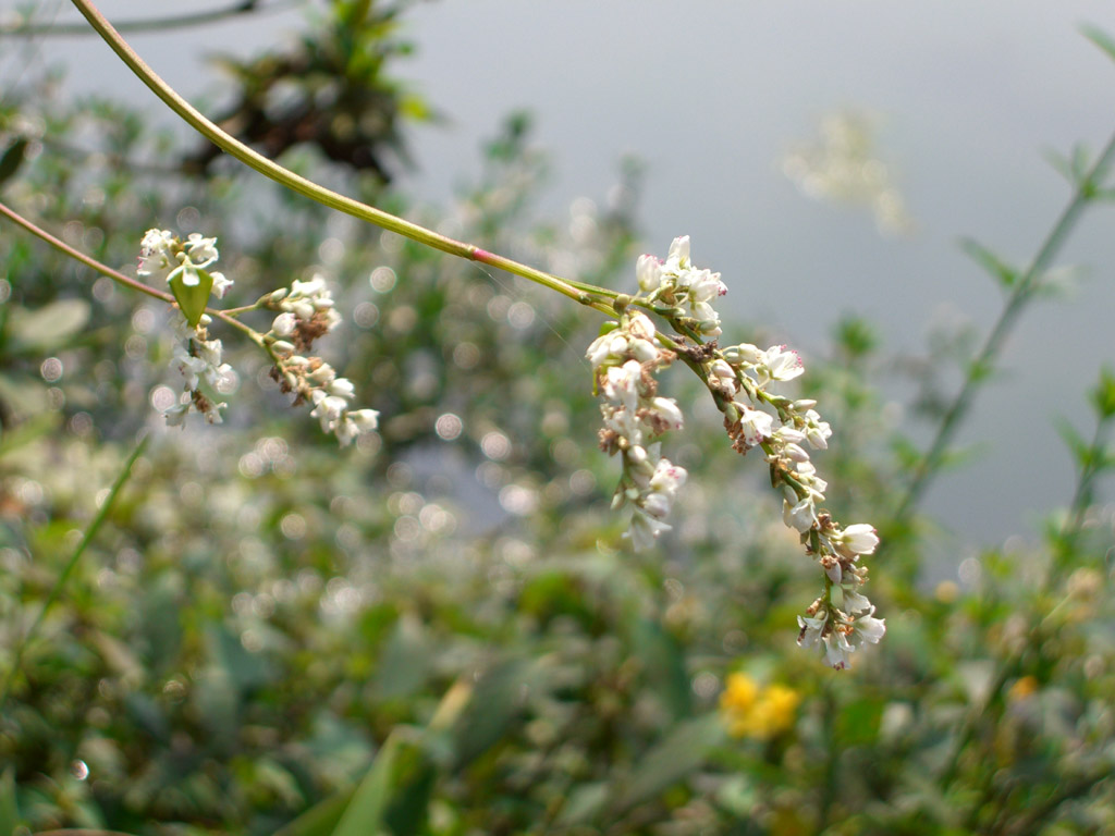 欲滴 摄影 zihan