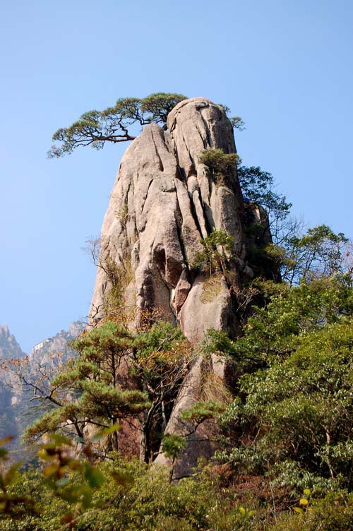 黄山一景 摄影 云青欲雨