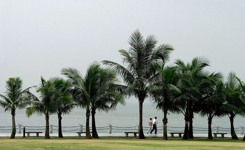 深圳滨海风光 摄影 天堂寨