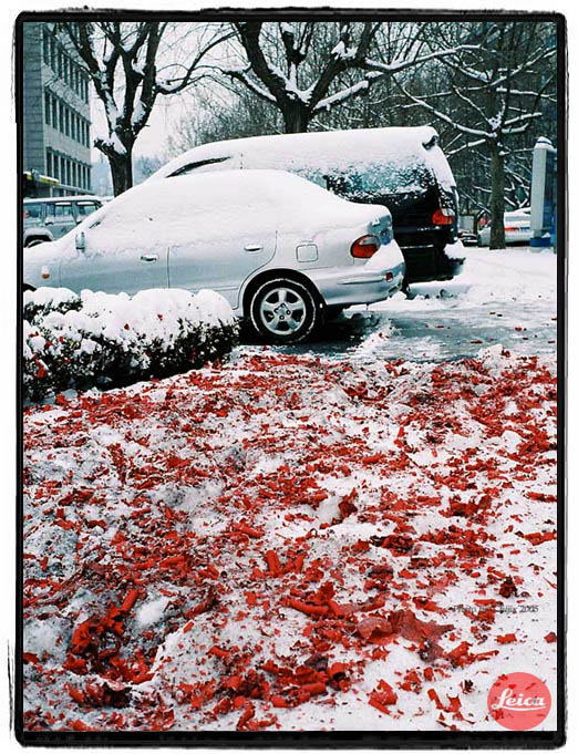 05年正月初八那场雪 摄影 chijix