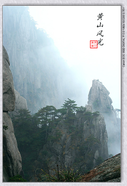 梦幻黄山 摄影 岚水清清