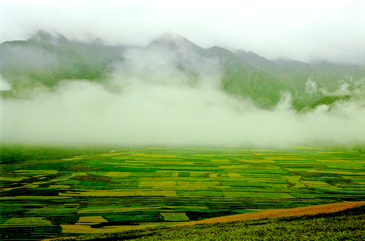 雾里山乡 贵德山区 摄影 水晶儿