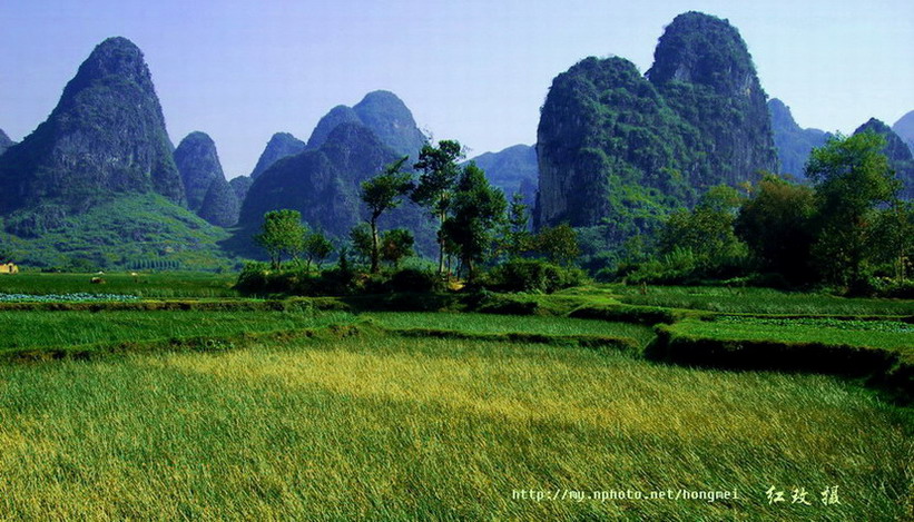 奇峰田园 摄影 红玫