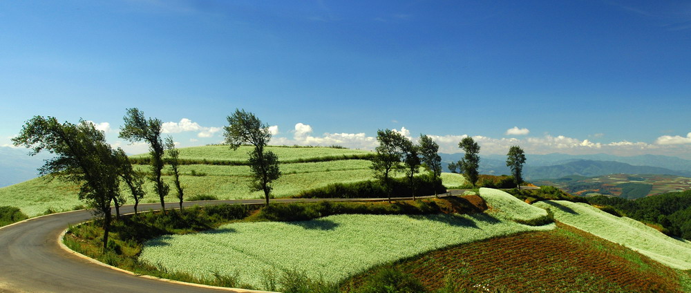 红土地 摄影 fangzhengwen