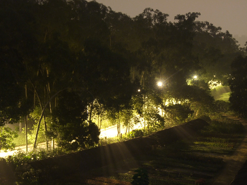 夜景 摄影 天下无影