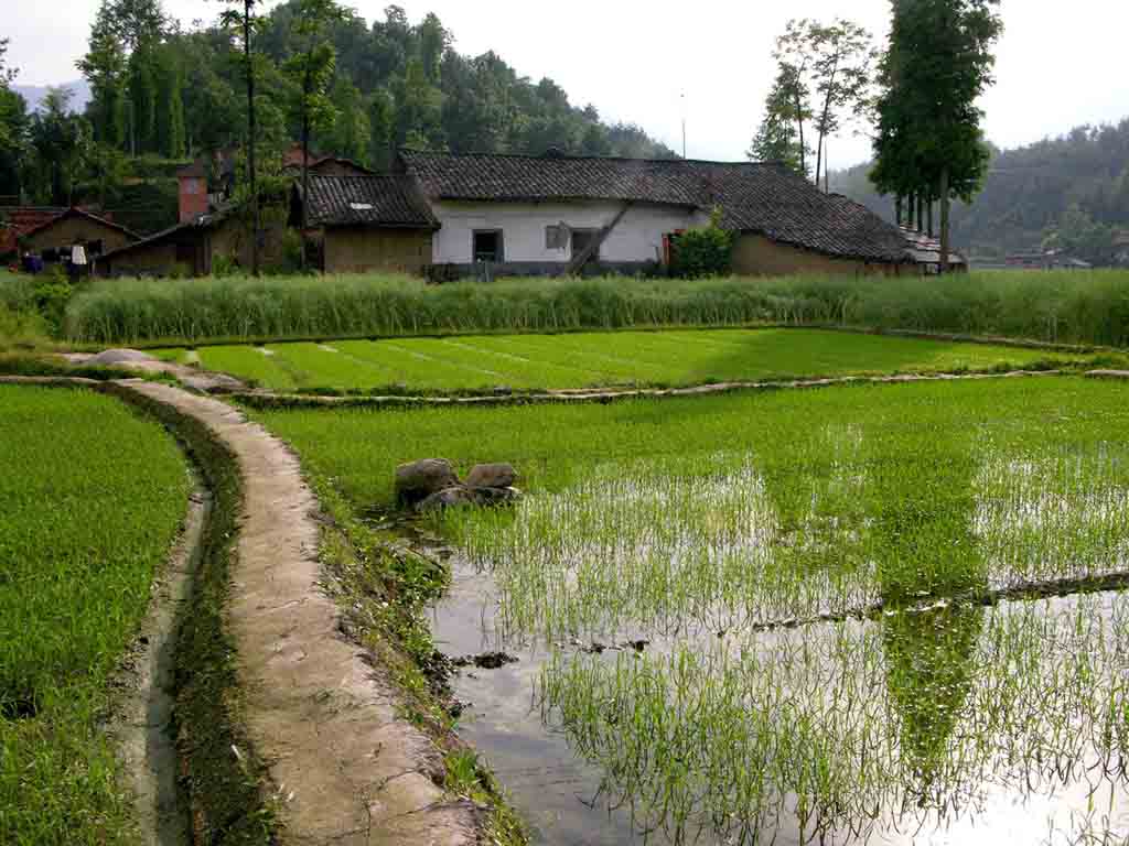 陕南 风景 摄影 完美旋子