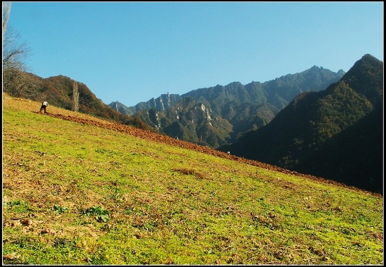 山间 摄影 老羊泡馍