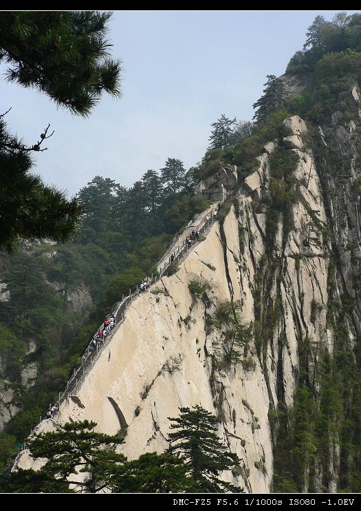 自古华山一条路 摄影 AlexPhoto