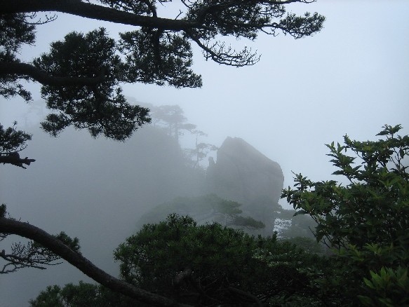 远峰 摄影 风从江阴来