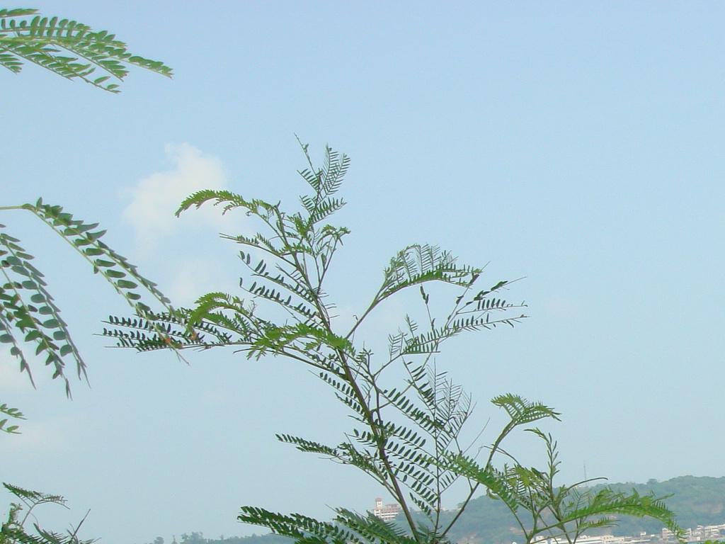 碧海蓝天 摄影 休闲沙子