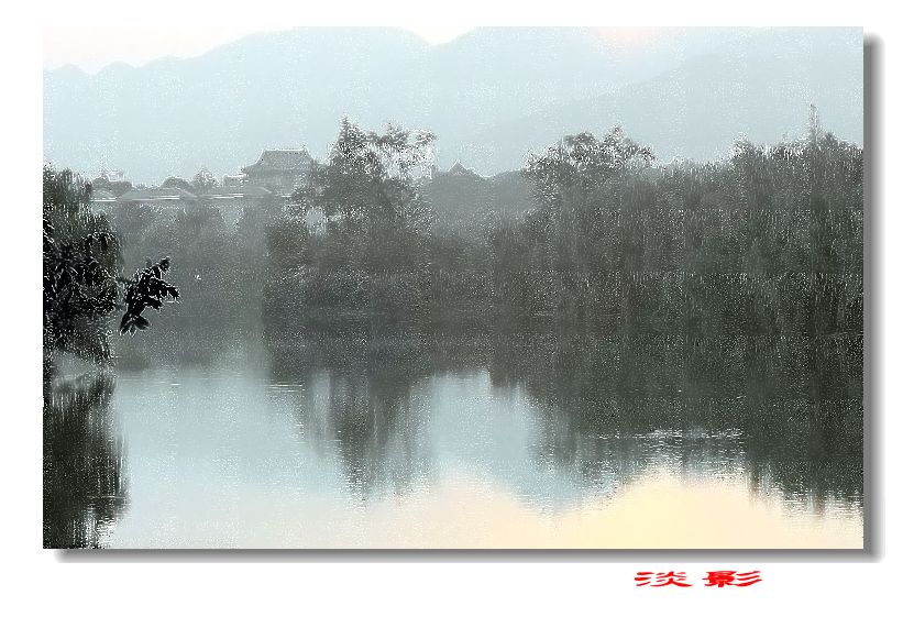 淡影 摄影 文竹细雨