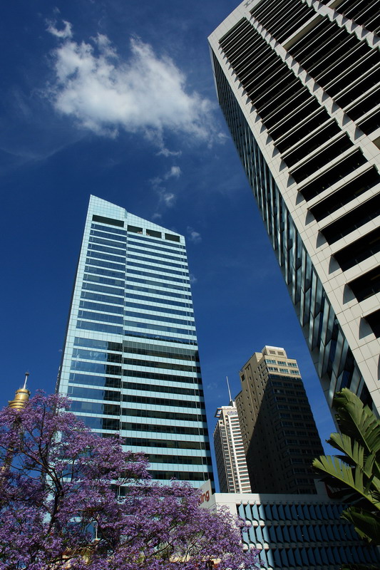 Sydney office 摄影 梦幻大猪