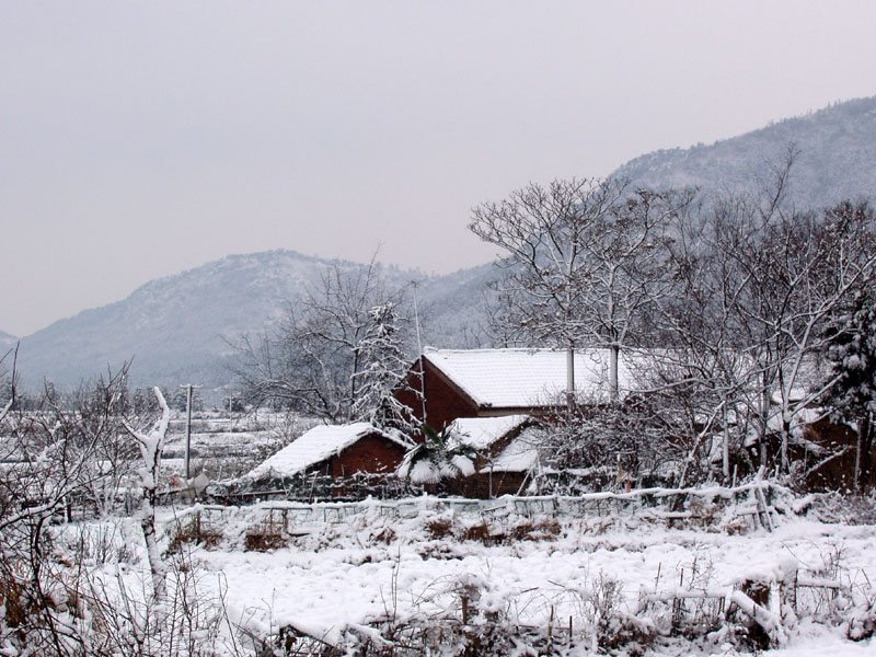 山村雪景 摄影 河边