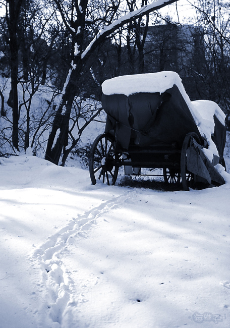 雪地黄包车 摄影 chijix