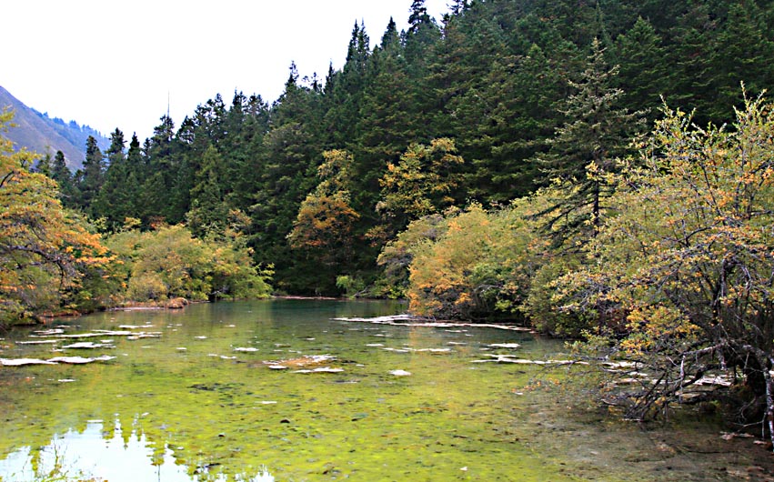 四川黄龙风光7.湖水 摄影 秋文