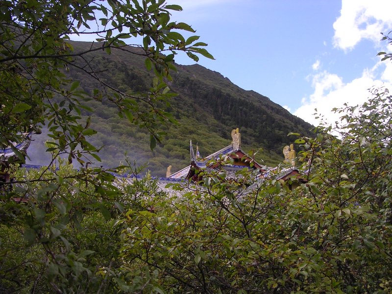 深山藏古寺 摄影 彼岸的风景