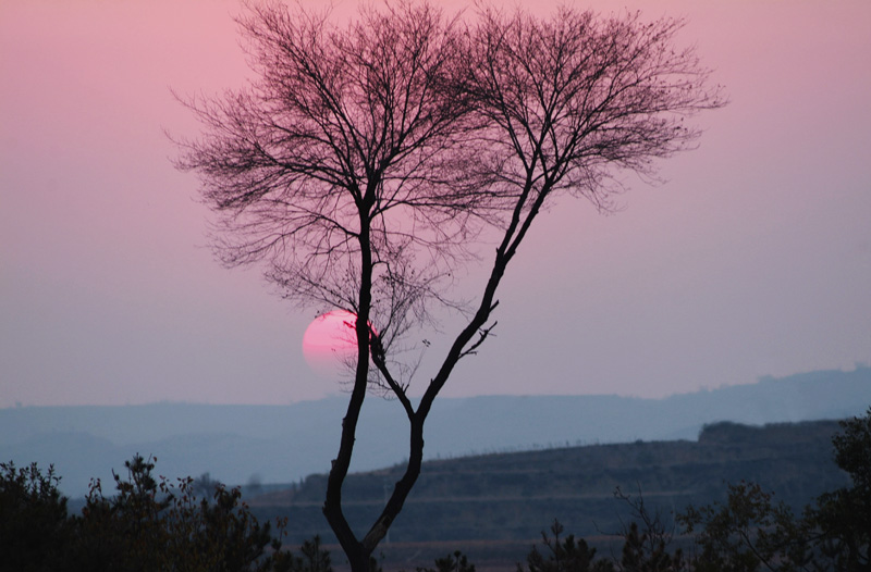 夕阳西下黄土坡 摄影 cm58