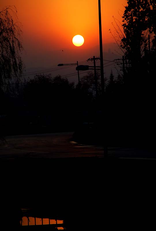 夕阳 摄影 王为