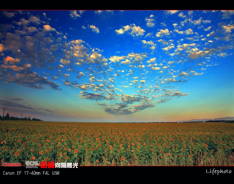 向陽晨光 摄影 Lifephoto