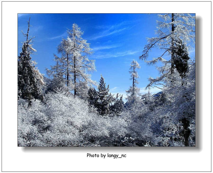 毕棚沟雪景 摄影 紫荷