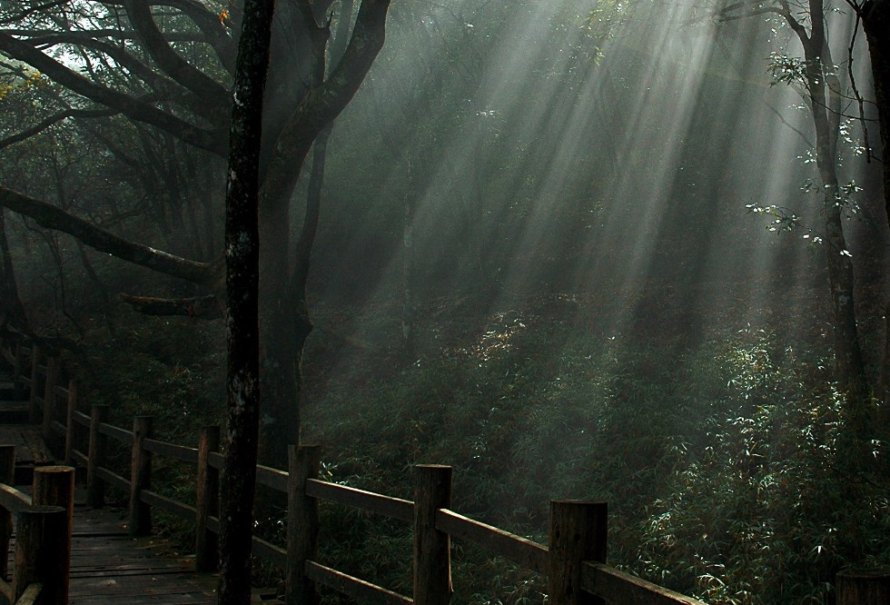 莽山风光"雾光栈桥" 摄影 liyizhi