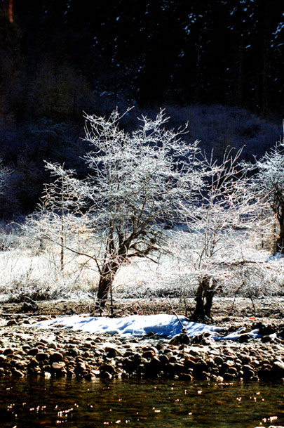 初雪 摄影 光之领主