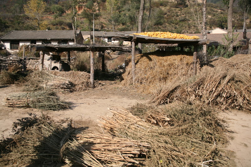 山村农家院 摄影 雪野