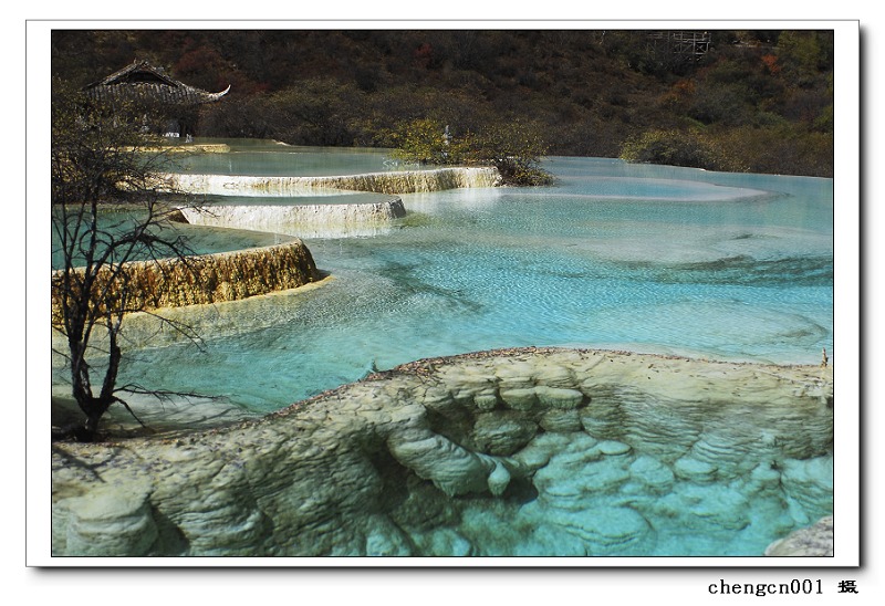 黄龙五彩池 摄影 chengcn001